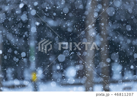 雪が降る冬景色 46811207