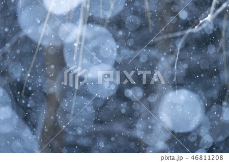 雪が降る冬景色 雪が降る冬景色 46811208