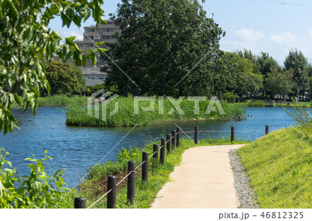 中郷温水池の遊歩道 中郷温水池の遊歩道 46812325