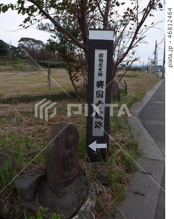 興国寺城 46812464