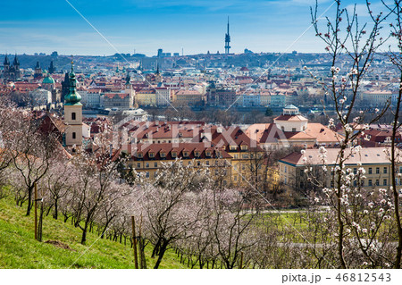 Prague city seen from the Petrin Gardens Prague city seen from the Petrin Gardens 46812543