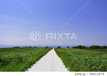 宗谷丘陵 宗谷丘陵 46812879