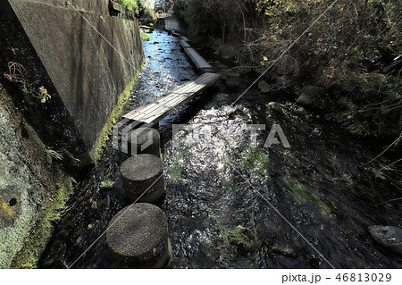 源兵衛川 源兵衛川 46813029