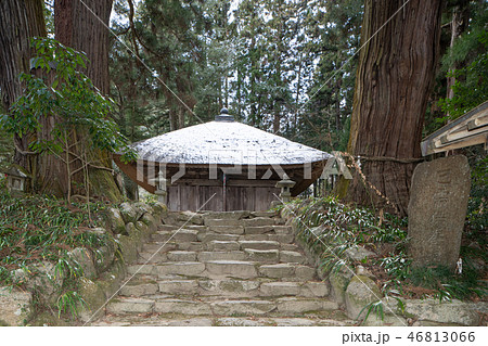 宮城県 角田市 高蔵寺 46813066