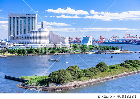 東京　お台場の風景（レインボーブリッジより） 46813231