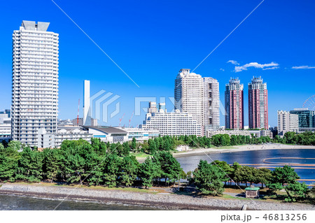 東京　お台場の風景（レインボーブリッジより） 46813256
