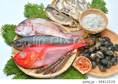 注意)背景に小ゴミ小傷汚れが残ります。新鮮な魚介類・鮮魚(金目鯛、真鯛、鯵、牡蛎、アサリ、車海老) 注意)背景に小ゴミ小傷汚れが残ります。新鮮な魚介類・鮮魚(金目鯛、真鯛、鯵、牡蛎、アサリ、車海老) 46813528