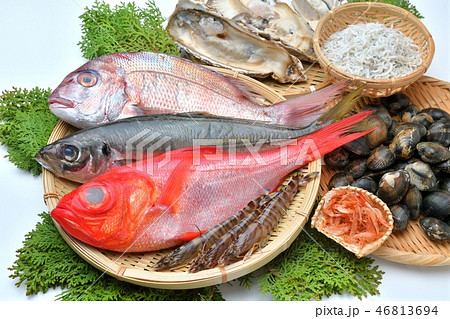注意）背景に小ゴミ小傷あります。魚介類（金目鯛、真鯛、鯵、牡蛎、アサリ、車海老、シラス、サクラエビ） 46813694