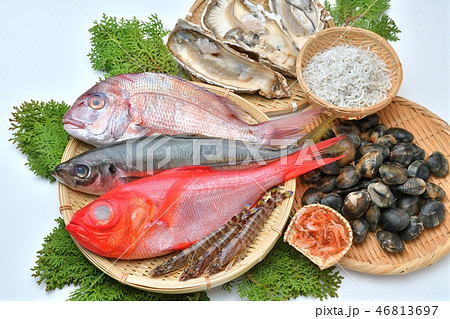 注意）背景に小ゴミ小傷あります。魚介類（金目鯛、真鯛、鯵、牡蛎、アサリ、車海老、シラス、サクラエビ） 46813697
