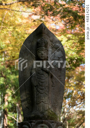 延命寺の紅葉 延命寺の紅葉 46814201