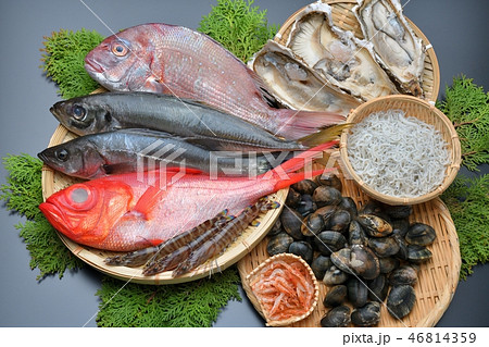 注意）背景に小ゴミあり。魚介類（金目鯛、真鯛、鯵、セイゴ、牡蛎、アサリ、車海老、シラス、桜海老） 46814359