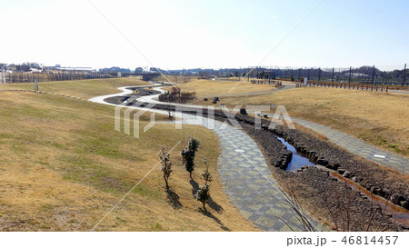 大和ゆとりの森（神奈川県大和市福田）修景池ゾーン 46814457