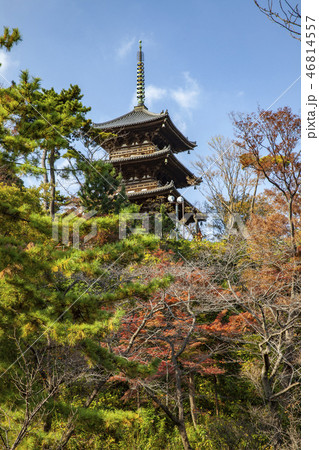 Sankei-en gardens, Yokohama Sankei-en gardens, Yokohama 46814557