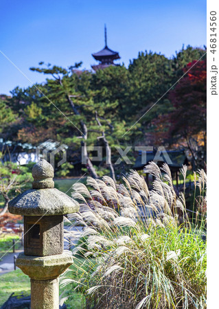 Sankei-en gardens, Yokohama 46814560