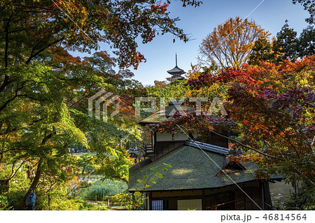 Sankei-en gardens, Yokohama 46814564