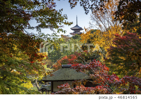Sankei-en gardens, Yokohama 46814565