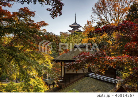 Sankei-en gardens, Yokohama 46814567