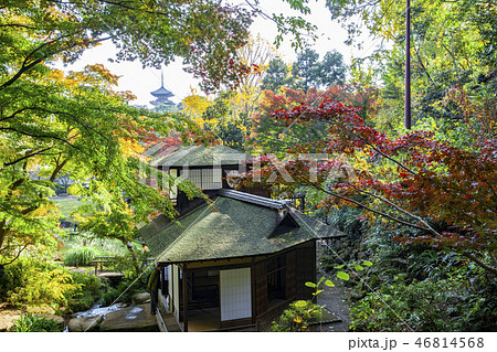 Sankei-en gardens, Yokohama Sankei-en gardens, Yokohama 46814568