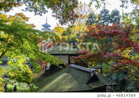 Sankei-en gardens, Yokohama 46814569