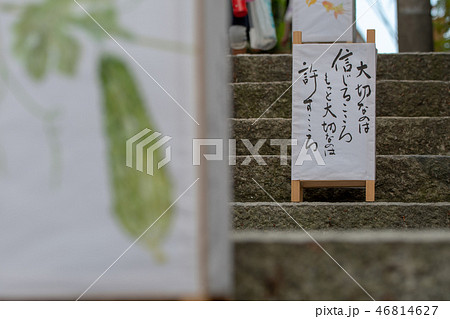 宝山寺 生駒聖天お彼岸万燈会 46814627