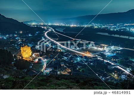 丹生酒殿神社 大銀杏のライトアップ 丹生酒殿神社 大銀杏のライトアップ 46814991