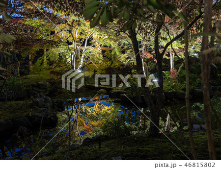 けいはんな記念公園 水景園 紅葉 けいはんな記念公園 水景園 紅葉 46815802