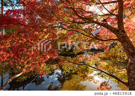 洞川温泉 龍泉寺 紅葉 46815918
