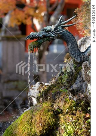 洞川温泉 龍泉寺 紅葉 46815934