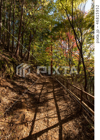 洞川温泉 龍泉寺 紅葉 46815952