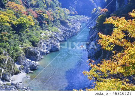 紅葉の大歩危峡の写真素材