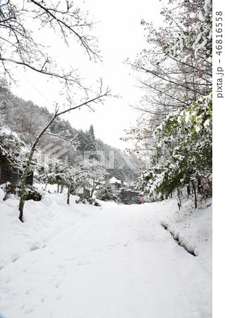 雪道 46816558