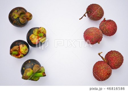マンゴスチンとライチ(Mangosteen and Litchee) マンゴスチンとライチ(Mangosteen and Litchee) 46816586