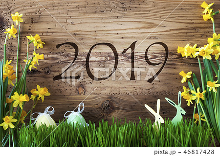 Easter Decoration, Gras, Text 2019 Easter Decoration, Gras, Text 2019 46817428