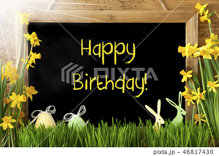 Sunny Narcissus, Easter Egg, Bunny, Happy Birthday Sunny Narcissus, Easter Egg, Bunny, Happy Birthday 46817430