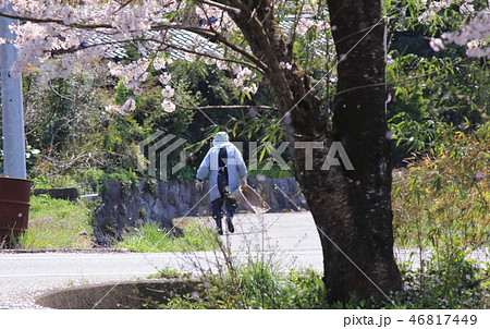 桜吹雪ともんぺ姿のお婆さんの後ろ姿です 桜吹雪ともんぺ姿のお婆さんの後ろ姿です 46817449