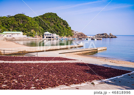 （静岡県）西伊豆雲見漁港、テングサの天日干し 46818996