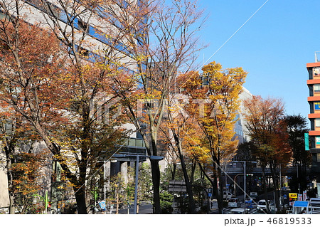 武蔵小杉駅前風景 紅葉 武蔵小杉駅前風景 紅葉 46819533