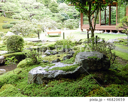 大津市坂本 旧竹林院 緑 大津市坂本 旧竹林院 緑 46820659