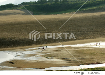 鳥取　四季の散歩　夏　砂丘 46820826