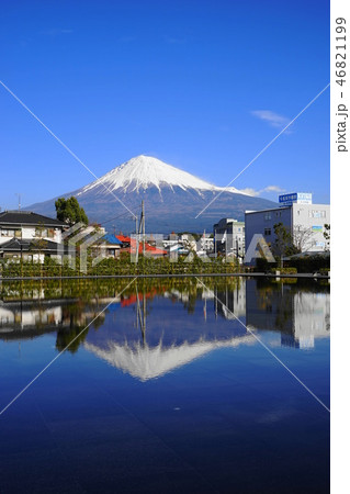 12月 富士宮61静岡県富士山世界遺産センター前庭 12月 富士宮61静岡県富士山世界遺産センター前庭 46821199