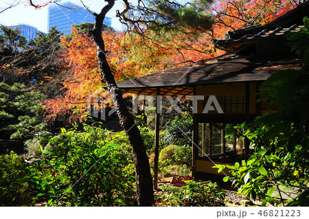 12月　庭園美術館25ﾓﾐｼﾞの紅葉･日本庭園 46821223