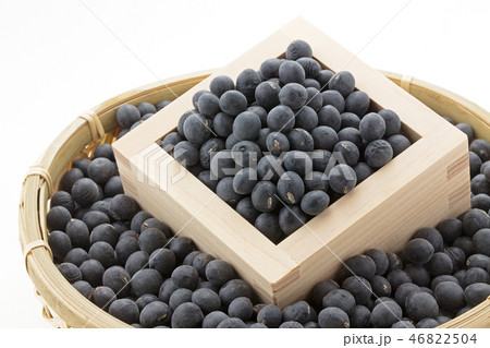 黒大豆 46822504