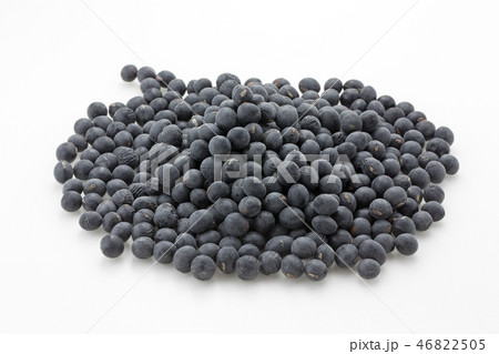 黒大豆 46822505
