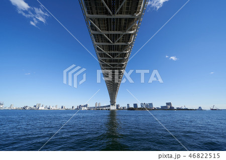 都市風景　東京湾とレインボーブリッジ 46822515