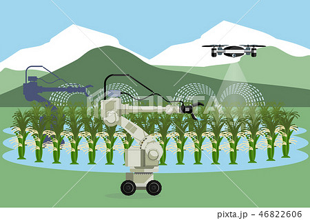 Robot and drone are watering vegetables  Robot and drone are watering vegetables  46822606