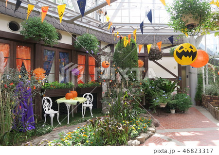 神戸布引ハーブ園のハロウィン 神戸布引ハーブ園のハロウィン 46823317