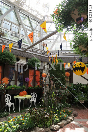 神戸布引ハーブ園のハロウィン 神戸布引ハーブ園のハロウィン 46823318