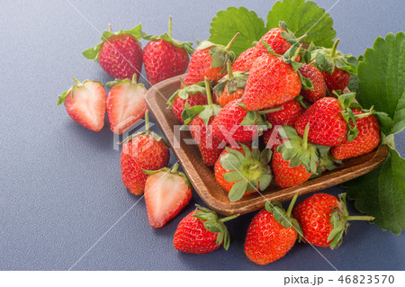 イチゴ いちご 苺 46823570