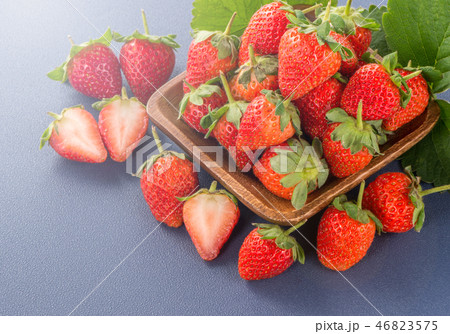 イチゴ いちご 苺 46823575