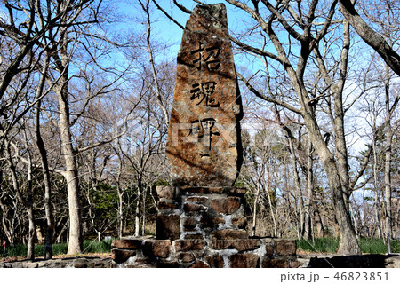 千歳市千歳神社境内の招魂碑 千歳市千歳神社境内の招魂碑 46823851